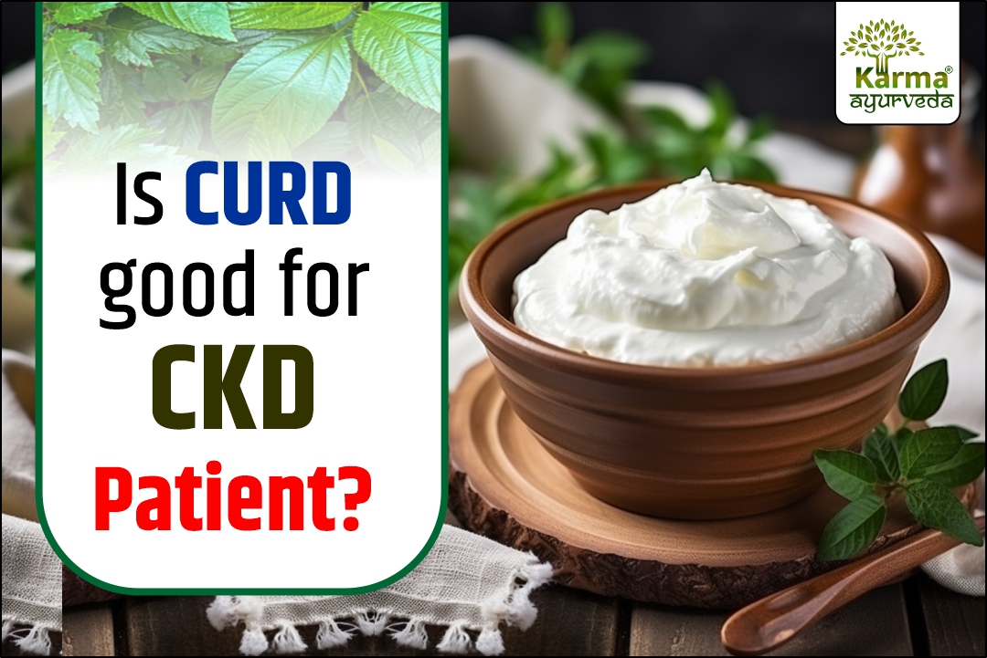 Is Curd Good For CKD Patients?